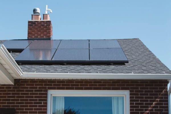 PEST CONTROL WATFORD, Hertfordshire. Services: Solar Panel Bird Proofing. Ensure the Continued Performance of Your Solar Panels with Local Pest Control Ltd's Professional Bird Proofing Services in Watford